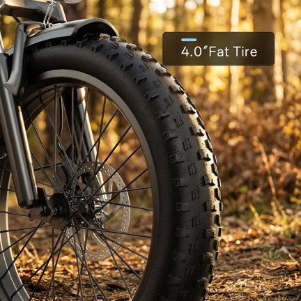 EK10 26" Step-Thru